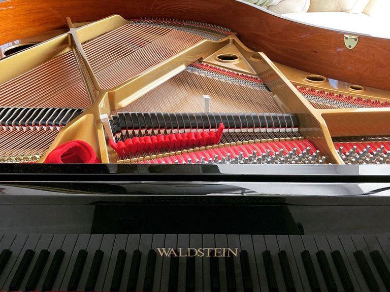 vue d un piano a queue waldstein